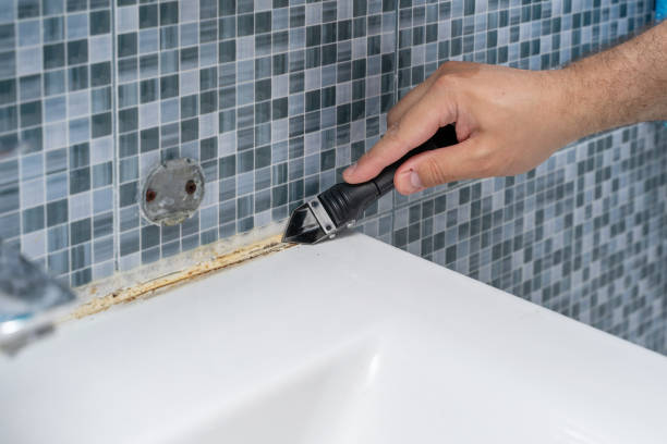 Best Black Mold Removal  in Marin City, CA